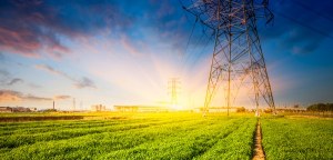 Orora named Leading Energy User 2014